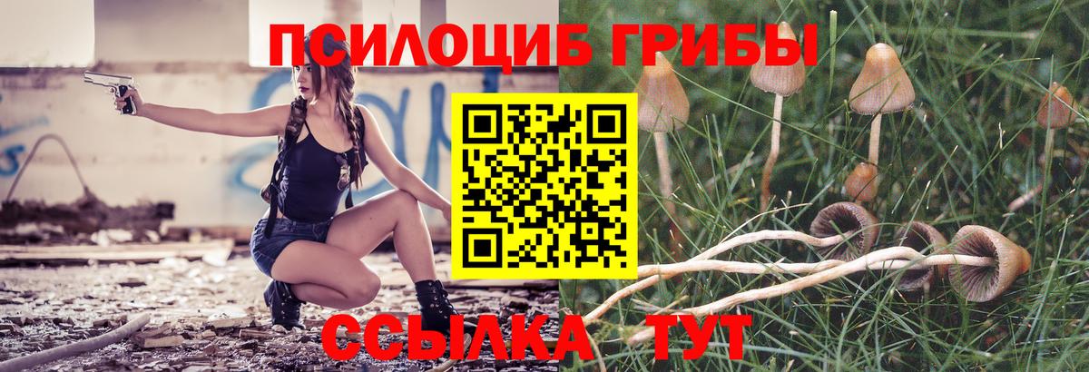 Галлюциногенные грибы мухоморы  Галлюциногенные грибы ЛСД  Великий Новгород  Вход с VPN 