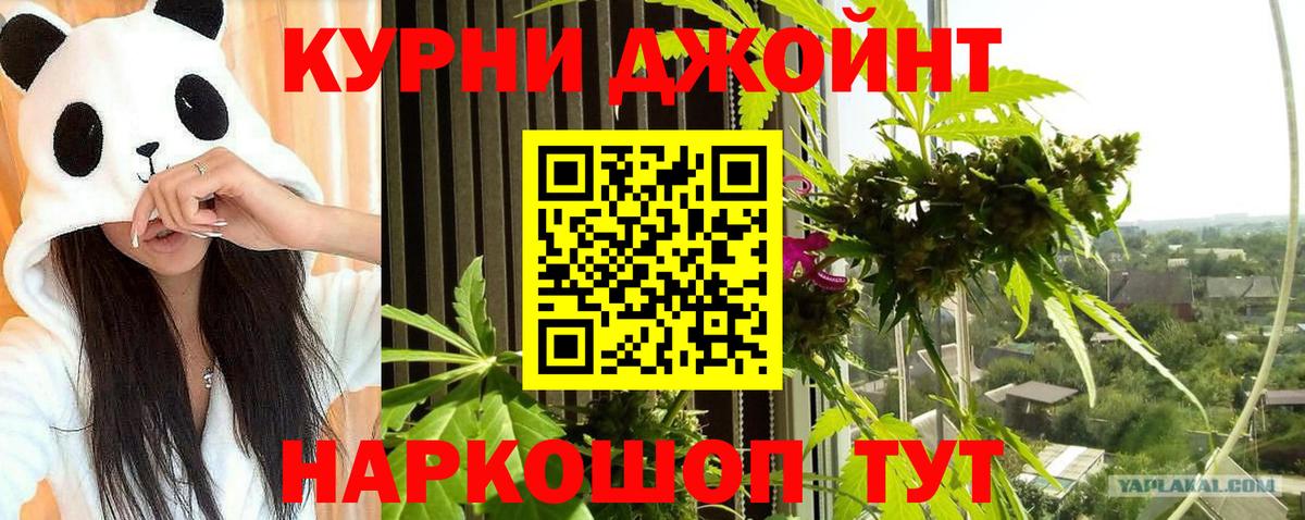 Великий Новгород  Бошки марихуана LSD WEED  Марихуана VHQ  Вход с VPN  Каннабис SATIVA & INDICA  Каннабис гибрид 